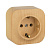 Quteo дерево роз. 1я с\з Legrand