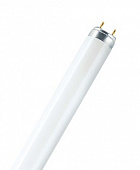 Люминесцентная лампа L36W/3500К OSRAM NATURA для продуктов