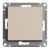 1686903631_atn001211_images_1