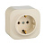Quteo Розетка 1-я с заземлением 16А 250В IP20 Сл. кость Legrand 